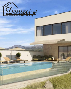 Denizet